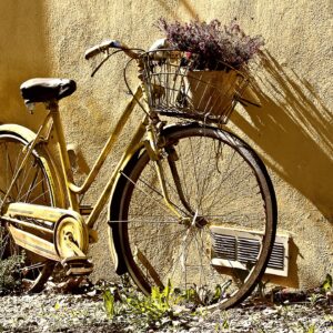 Cycles