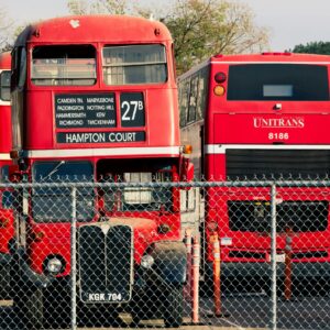 Buses