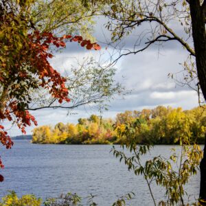 Landscape and Scenes