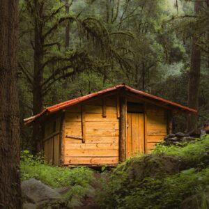 Huts and Bamboo