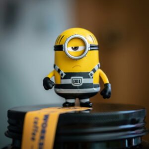 alison wang mou0s7vielq unsplash