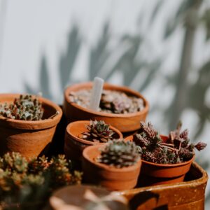 annie spratt gaypyne2cxm unsplash