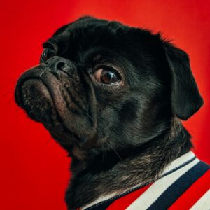 charlesdeluvio dziziyogahc unsplash