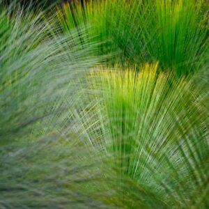enguerrand photography yrwkj9raghc unsplash