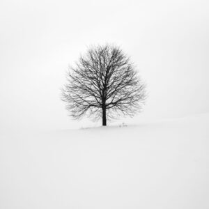 fabrice villard jrl uqczqoc unsplash