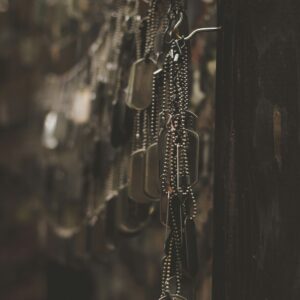 holly mindrup j7rqsdahpyi unsplash