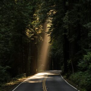 john towner 3kv48ns4wuu unsplash