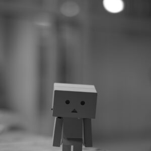 mulyadi znlprinkm7s unsplash