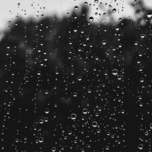 Water Scenes