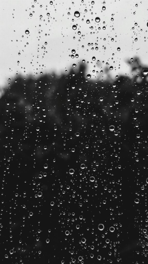 nick nice ve r7pcjjdk unsplash