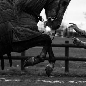 pexels mehmetakifarts 35359005