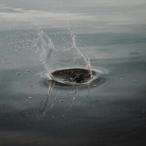 taylor friehl wskv7sisdas unsplash