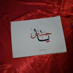 pexels hurrahsuhail 15287744
