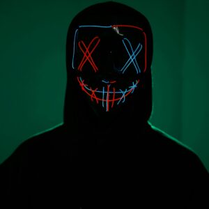 pexels kalistro666 26424765
