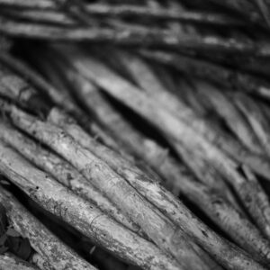 pexels mantasink 26970937