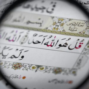 pexels muhammad amaan 2439920 8440924