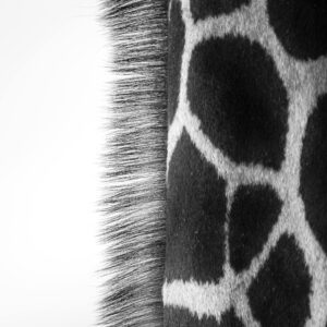 pexels wwarby 19716294