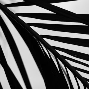 saint atelier ceq3z6do4cm unsplash